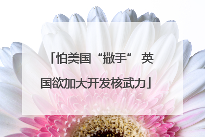 怕美国“撒手” 英国欲加大开发核武力