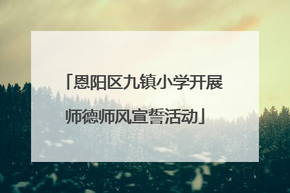 恩阳区九镇小学开展师德师风宣誓活动