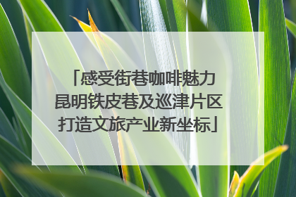 感受街巷咖啡魅力 昆明铁皮巷及巡津片区打造文旅产业新坐标