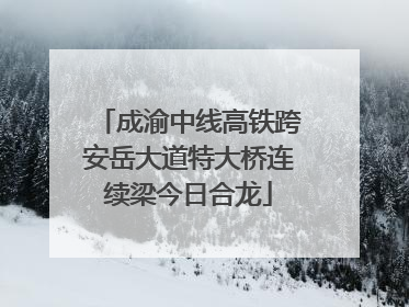 成渝中线高铁跨安岳大道特大桥连续梁今日合龙