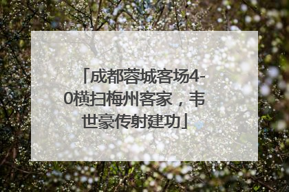 成都蓉城客场4-0横扫梅州客家，韦世豪传射建功