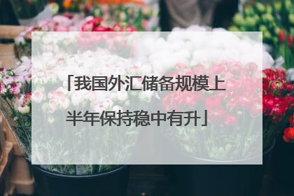 我国外汇储备规模上半年保持稳中有升