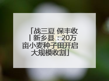 战三夏 保丰收丨新乡县：20万亩小麦种子田开启大规模收割