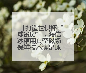 打造世俱杯“球景房”，海信冰箱用真空磁场保鲜技术满足球迷味蕾