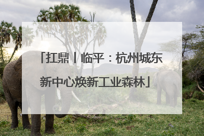 扛鼎丨临平：杭州城东新中心焕新工业森林