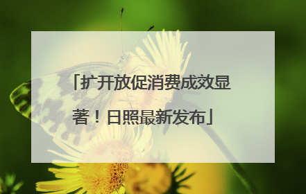 扩开放促消费成效显著！日照最新发布