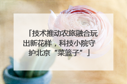 技术推动农旅融合玩出新花样，科技小院守护北京“菜篮子”