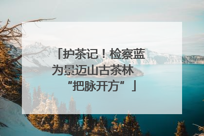 护茶记！检察蓝为景迈山古茶林 “把脉开方”