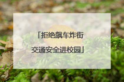 拒绝飙车炸街 交通安全进校园