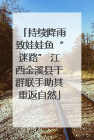 持续降雨致娃娃鱼“迷路” 江西金溪县干群联手助其重返自然
