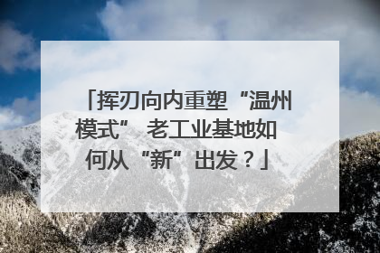 挥刃向内重塑“温州模式” 老工业基地如何从“新”出发？