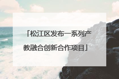 松江区发布一系列产教融合创新合作项目