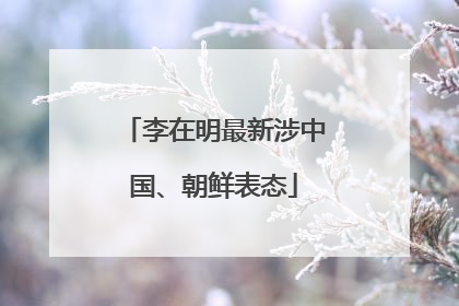 李在明最新涉中国、朝鲜表态