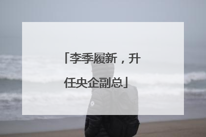李季履新，升任央企副总