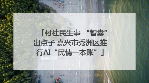 村社民生事 “智囊”出点子 嘉兴市秀洲区推行AI“民情一本账”