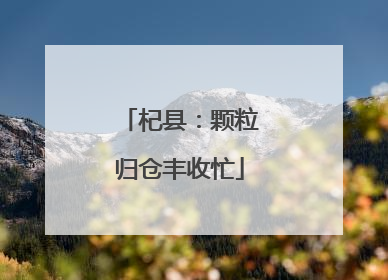 杞县：颗粒归仓丰收忙