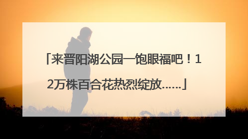 来晋阳湖公园一饱眼福吧！12万株百合花热烈绽放……