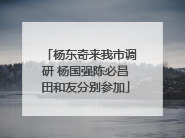 杨东奇来我市调研 杨国强陈必昌田和友分别参加