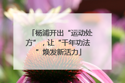 杨浦开出“运动处方”，让“千年功法”焕发新活力