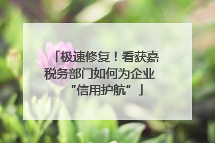 极速修复！看获嘉税务部门如何为企业“信用护航”