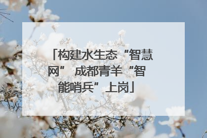 构建水生态“智慧网” 成都青羊“智能哨兵”上岗
