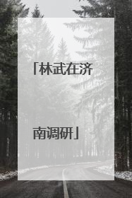 林武在济南调研