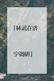 林武在济宁调研