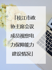 枝江市政协主席会议成员视察电力保障能力建设情况