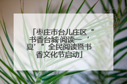 枣庄市台儿庄区“书香台城·阅读一‘夏’”全民阅读暨书香文化节启动