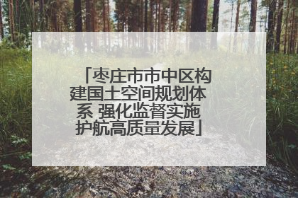 枣庄市市中区构建国土空间规划体系 强化监督实施护航高质量发展