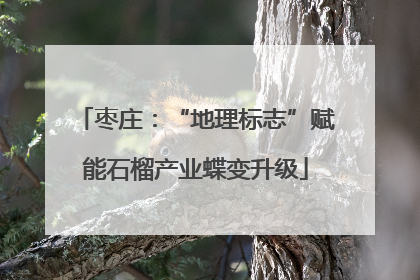 枣庄：“地理标志”赋能石榴产业蝶变升级