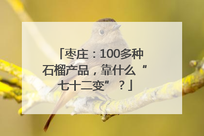 枣庄：100多种石榴产品，靠什么“七十二变”？