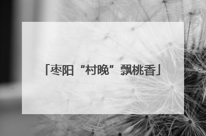 枣阳“村晚”飘桃香