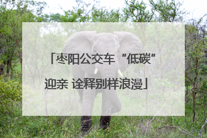 枣阳公交车“低碳”迎亲 诠释别样浪漫