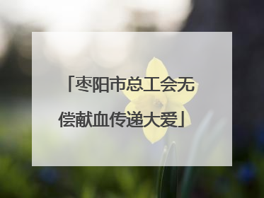枣阳市总工会无偿献血传递大爱