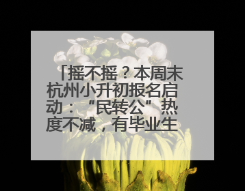 摇不摇？本周末杭州小升初报名启动：“民转公”热度不减，有毕业生家长这样谈“择校真相”……