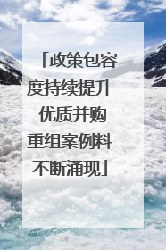 政策包容度持续提升 优质并购重组案例料不断涌现