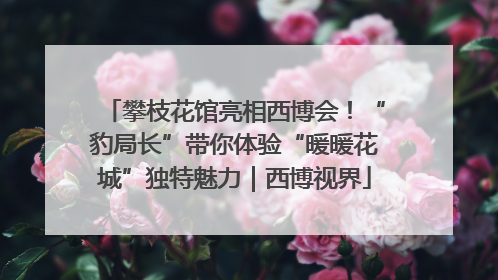 攀枝花馆亮相西博会！“豹局长”带你体验“暖暖花城”独特魅力｜西博视界