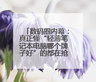 数码圈内幕：真正懂“轻薄笔记本电脑哪个牌子好”的都在抢这款