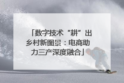 数字技术“耕”出乡村新图景：电商助力三产深度融合