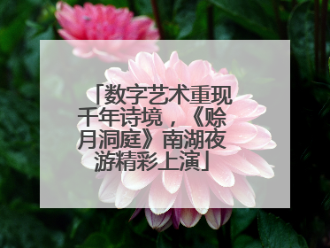 数字艺术重现千年诗境，《赊月洞庭》南湖夜游精彩上演