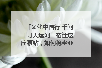 文化中国行·千问千寻大运河｜宿迁这座泵站，如何稳坐亚洲第一宝座？