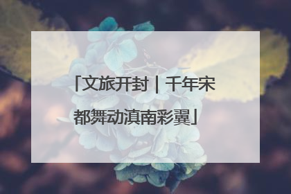 文旅开封｜千年宋都舞动滇南彩翼