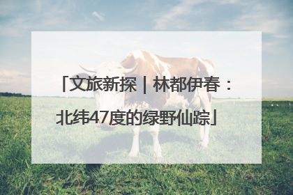 文旅新探｜林都伊春：北纬47度的绿野仙踪