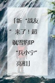 新“战友”来了！超飒雪豹IP“兵小宁”亮相