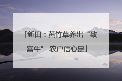 新田：黄竹草养出“致富牛” 农户信心足