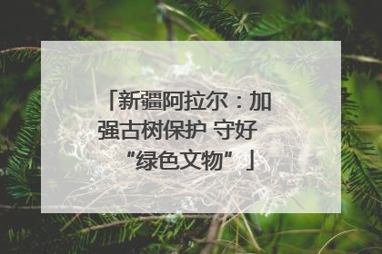 新疆阿拉尔：加强古树保护 守好“绿色文物”