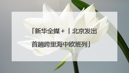 新华全媒＋丨北京发出首趟跨里海中欧班列
