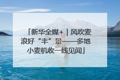 新华全媒+｜风吹麦浪好“丰”景——多地小麦机收一线见闻