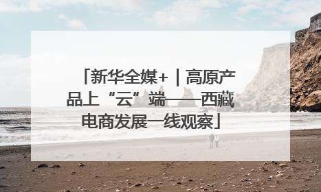 新华全媒+｜高原产品上“云”端——西藏电商发展一线观察